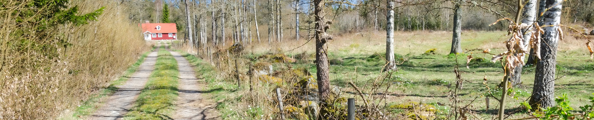 M Försäkring Fritidshusförsäkring Banner
