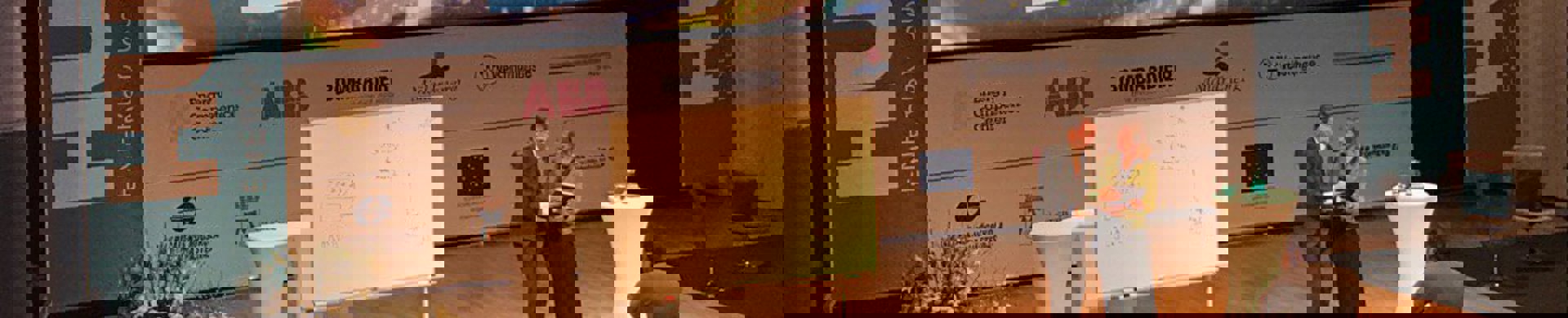 Prisutdelning Christina Lampe-Önnerud.jpg