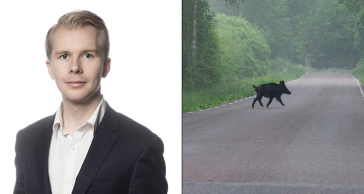 – Det behövs en rejält ökad avskjutning av vildsvin. Eftersom vildsvinen är svårjagade bör incitamenten till jakt stärkas genom exempelvis införande av skottpeng. Stödutfodring av vildsvin bör kraftigt begränsas, säger Tony Gunnarsson, sakkunnig i trafiksäkerhet på Riksförbundet M Sverige.