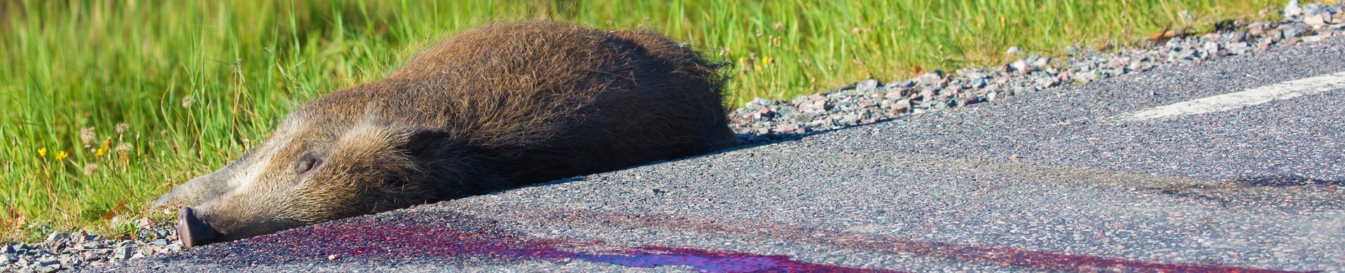 Banner viltskador