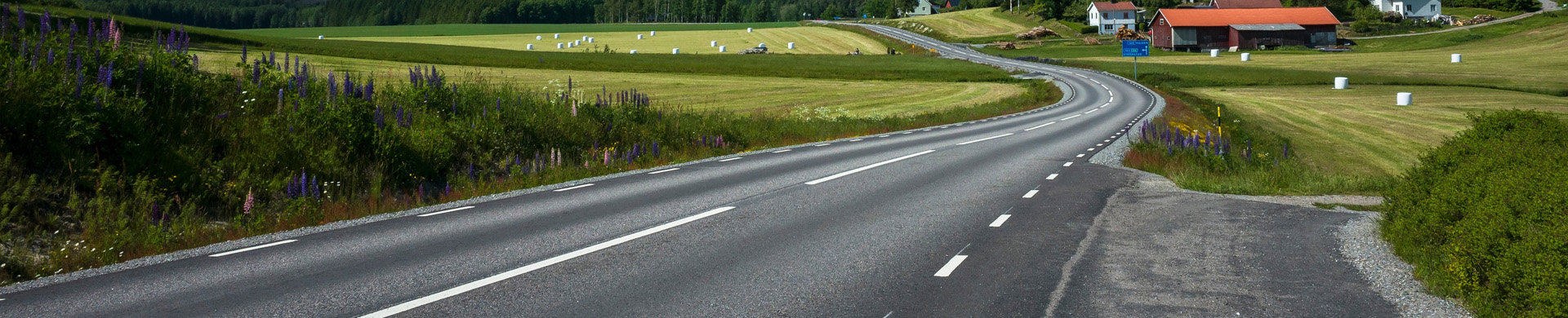 Väg i Sverige banner