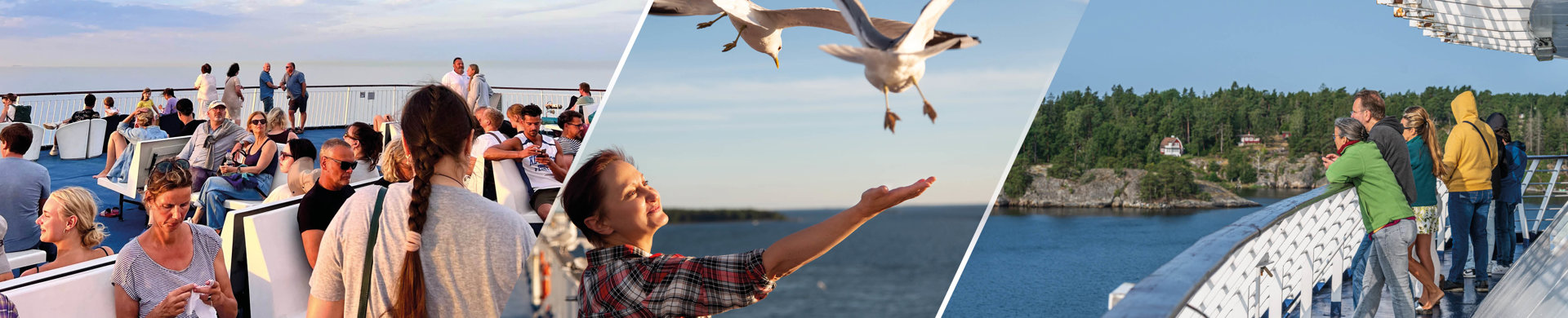 Färja. M Sverige föreslår färjor till Tyskland, Danmark, England och fler, vissa med medlemsrabatt.